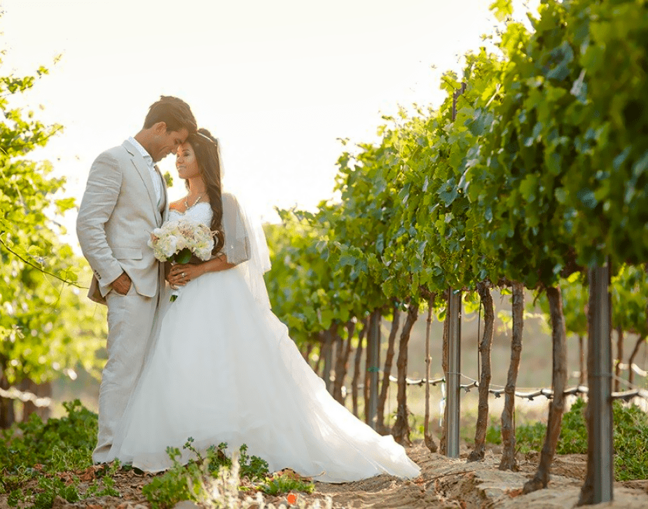 Wedding couple at vineyard