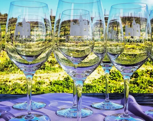 Wine glasses with vineyard view